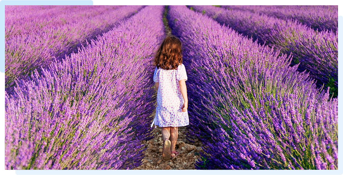 ideal laundry fragrance